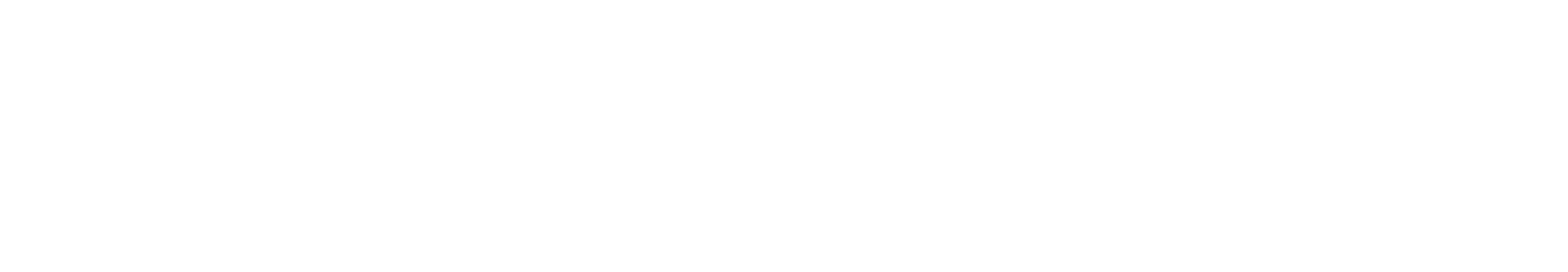 Brand Brdige Agency