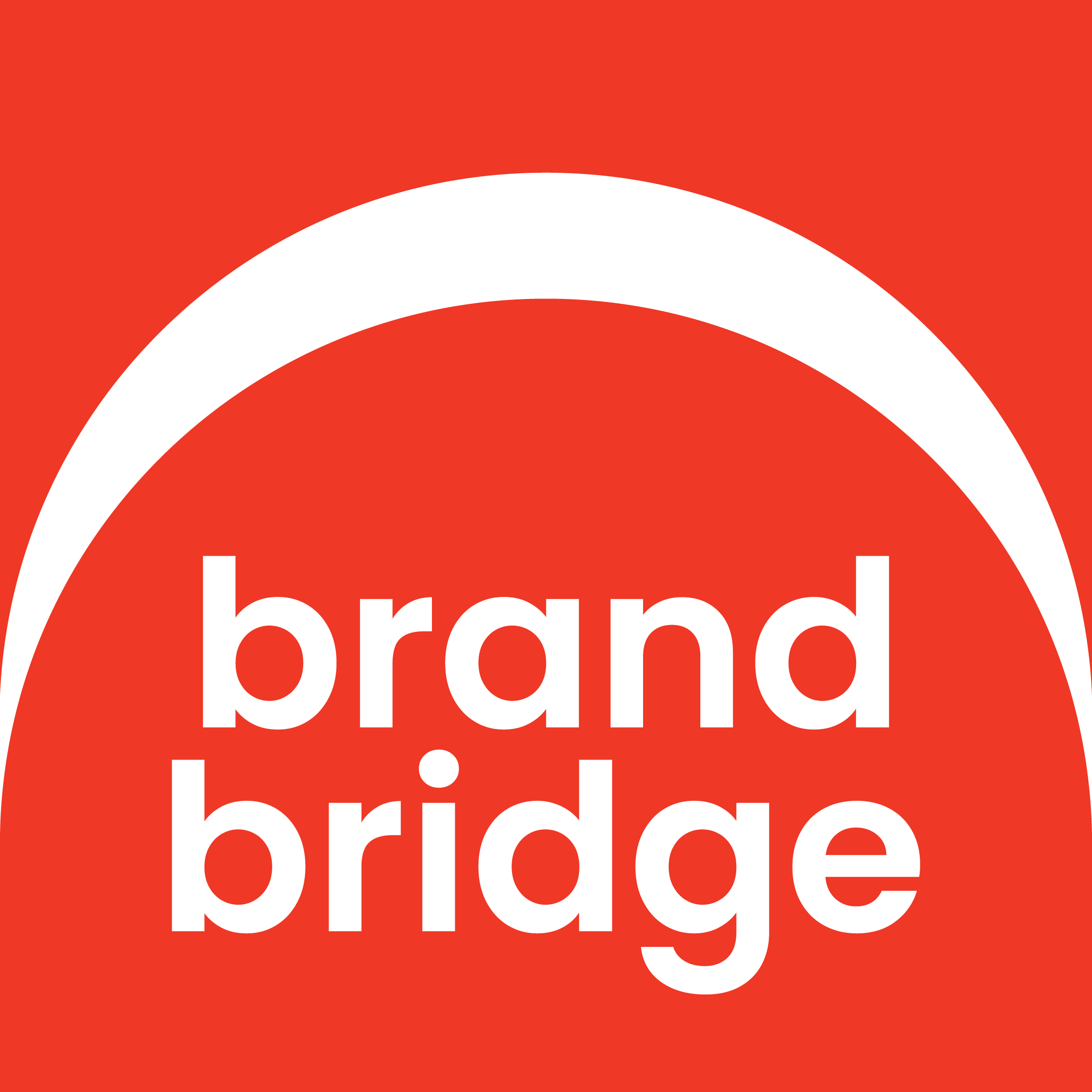 Brand Brdige Agency